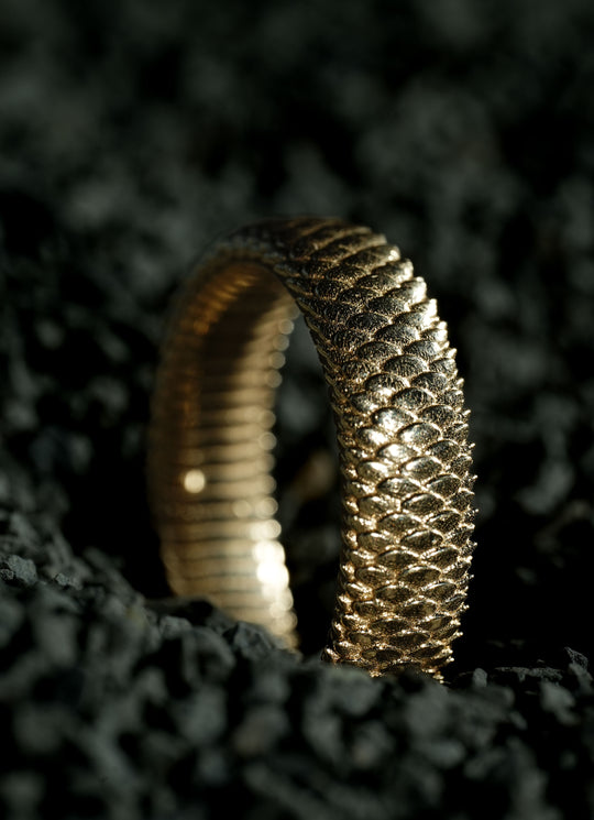 Serpents Embrace 14k Gold Ring